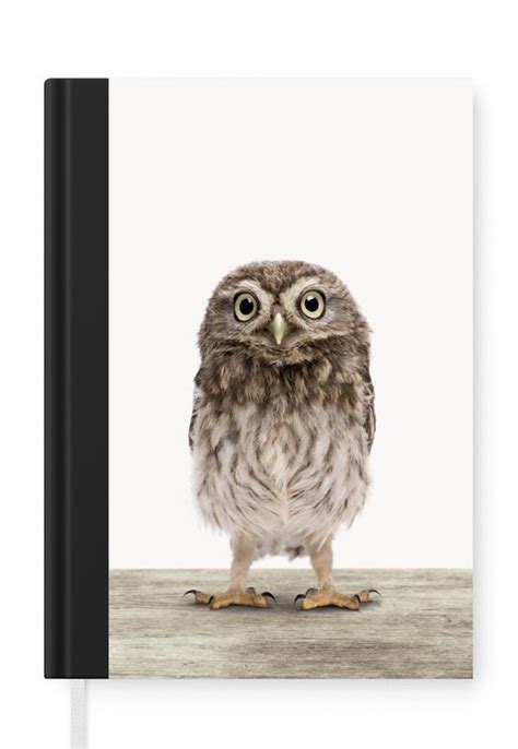 Carnet Cahier d écriture Hibou Marron Poussins hiboux Enfants