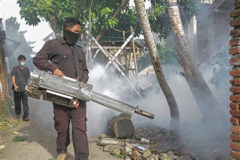 Waspadalah Maret Kasus Dbd Meningkat Dua Kali Lipat