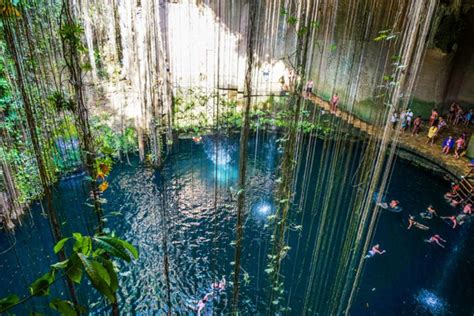 Los 11 Mejores Cenotes En Yucatán Que Deberías Conocer Tips Para Tu Viaje