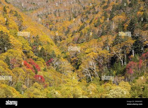 Mikuni Pass in Autumn Stock Photo - Alamy