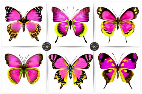 Beautiful Butterfly Collection Graphic By Hassas Arts Creative Fabrica