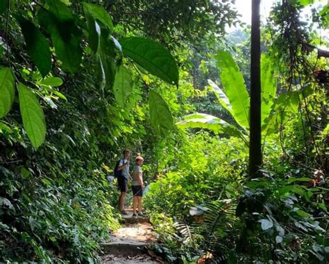 Cuc Phuong National Park Tour Hanoi Vietnam Wildlife Tour Hanoi