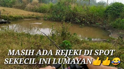 TERNYATA SPOT SEKECIL INI MASIH ADA IKAN NYA CASTING GABUS DI MUSIM