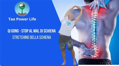 Qi Gong Stop Al Mal Di Schiena Stretching Della Schiena Youtube