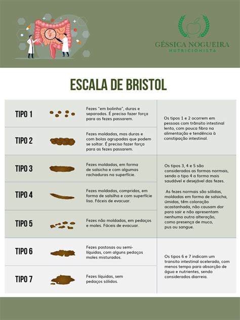 Cópia De Escala De Bristol Pdf