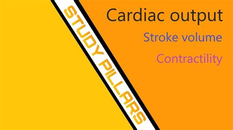 Stroke Volume Contractility Part 2 YouTube