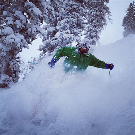 Powder day - Photo by trackstanding | Heli skiing, Snowmobile tours ...