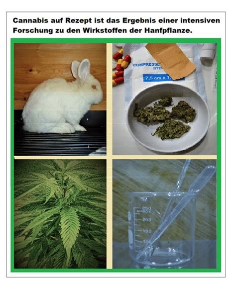 Cannabis Auf Rezept Tipps F R Das Gespr Ch Mit Dem Arzt