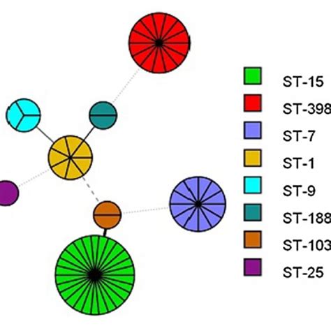 Minimum Spanning Tree Based On The Mlst Data For Each Isolate