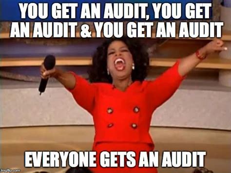 Audit Memes