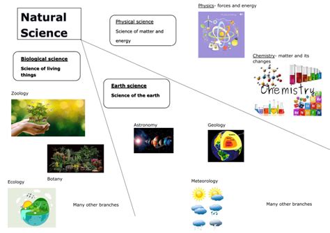 Branches Of Science Chart