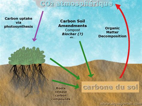 Séquestration du carbone définition et explications