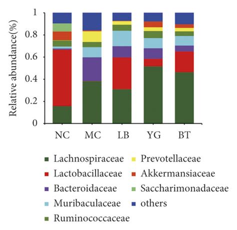 The Composition Of Gut Microbiota In Different Groups A Phylum