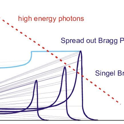 Protons And Neutrons Are Hadrons While The Carbon Nucleus Is Composed