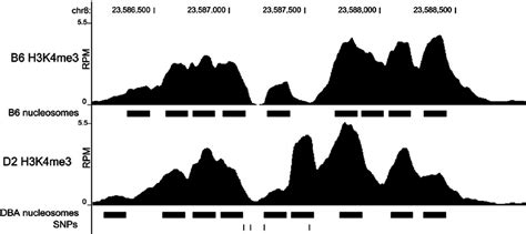 Nucleosome Resolution H3k4me3 Chip Seq The Abundance Of Sequence Download Scientific Diagram