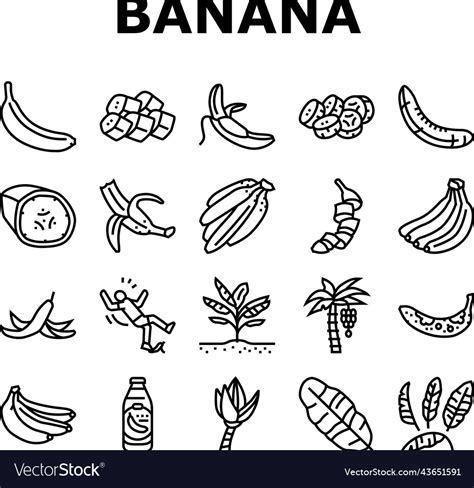 Banana Fruit Food Yellow White Icons Set Vector Image