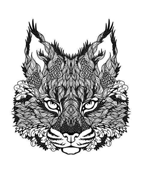 Cats Head To Color Cat Coloring Pages For Adults Page Educational