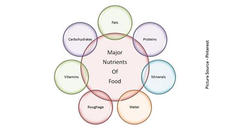 Classification Of Nutrients In Food Atyutka Food