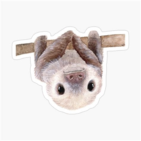 Baby Sloth Sticker By Brittany1107 Baby Sloth Cute Baby Sloths