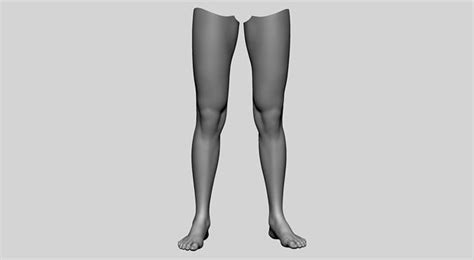 Female Leg 3d Model Cgtrader