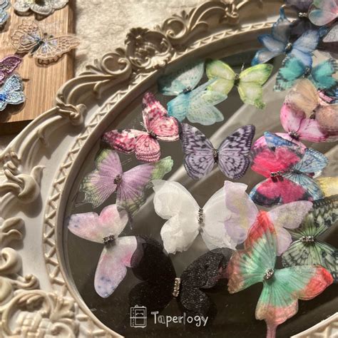New Releases – Taperlogy