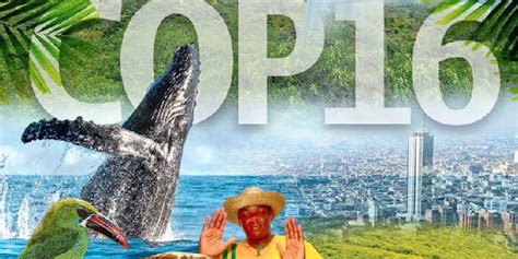 Biodiversidad amenazada asimetrías ecológicas y económicas Ambiente en América Latina Claes