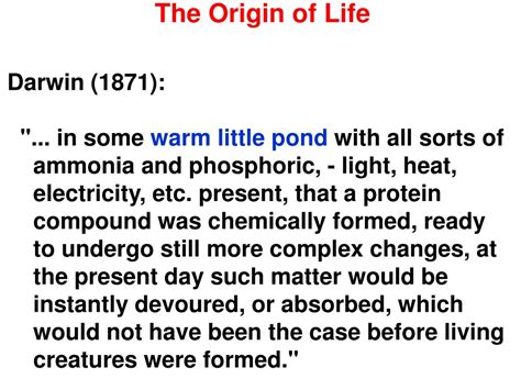 Ppt The Origin Of Life Powerpoint Presentation Free Download Id 3623317