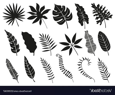 Palm Frond Vector At Collection Of Palm Frond Vector