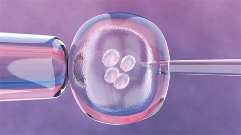 Scientists Created A Human Embryo Without Sperm Or An Egg We Should Be