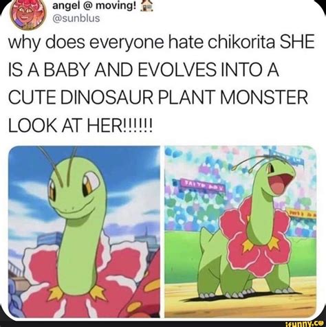 Chikorita Memes Best Collection Of Funny Chikorita Pictures On Ifunny