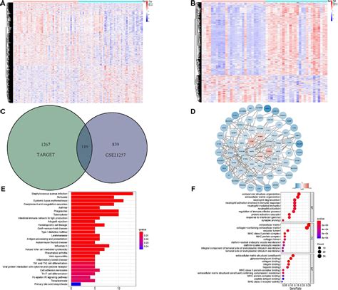 Frontiers Development And Validation Of A Hypoxia Associated