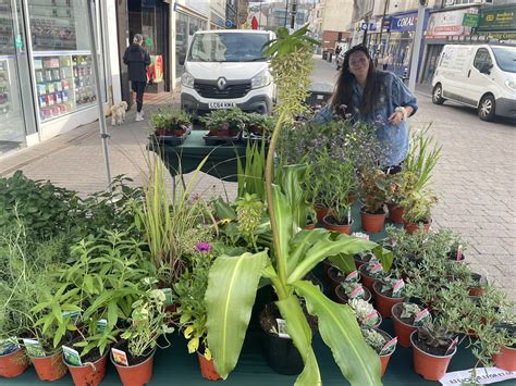 Hastings Town Centre Market | Hastings
