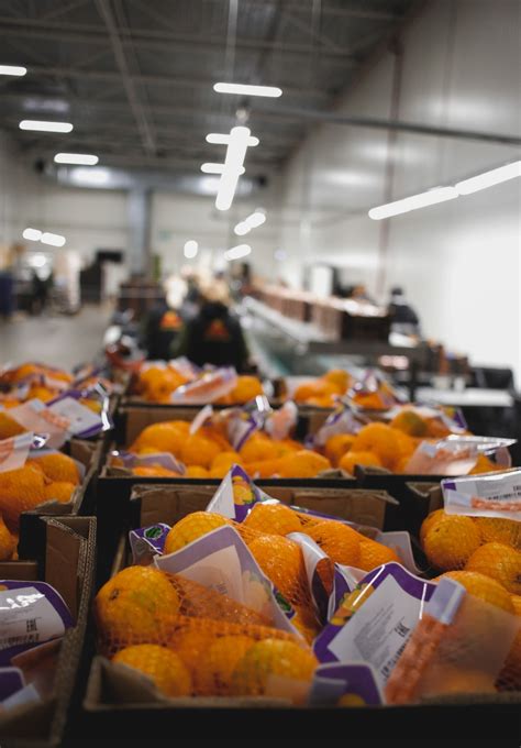 Baltic Fresh Fruit | Оптовая торговля фруктами и овощами