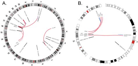 Localization Of Gene Fusions On Specific Chromosomal Regions A Whole