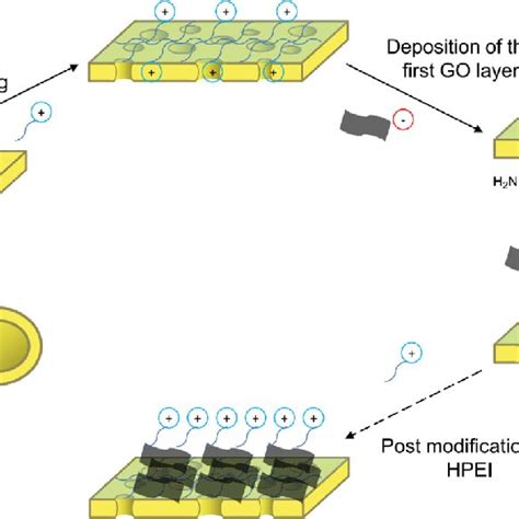 F0010 Schematic Representation Of Graphene Oxide Based Membrane Data