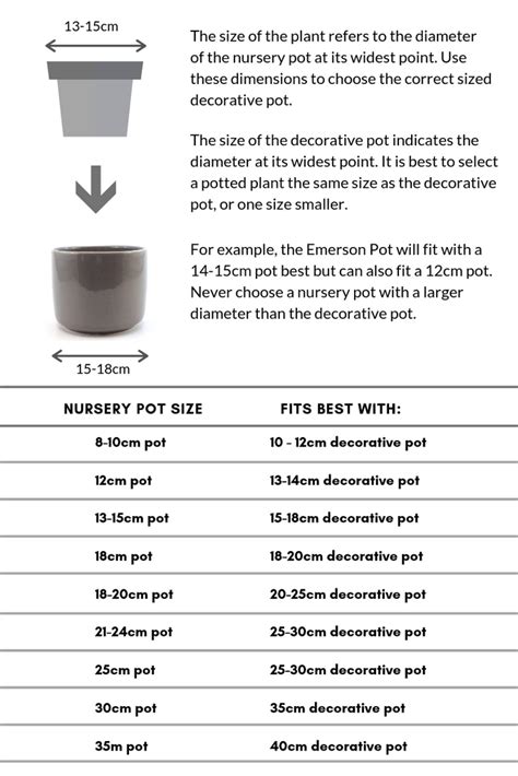 Pot Sizing Guide Matching Indoor Plants With Pots Plantify Urban