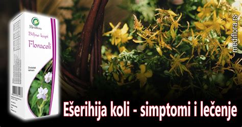 Ešerihija koli simptomi i lečenje Mediflora