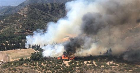 Declaran Alerta Roja Por Incendio Forestal En Parque Nacional La Campana