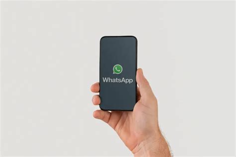 Robô para WhatsApp Como funciona e como começar a usar Alloy