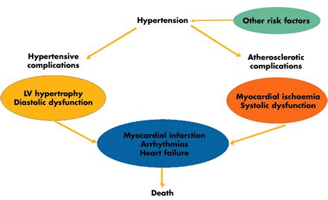 Left Ventricular Hypertrophy In Hypertension Its Arrhythmogenic