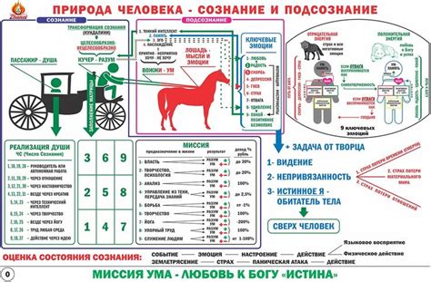 Цифровая наука Сюцай | Искандер Жумагулов | Numerology, Cbt, Money ...