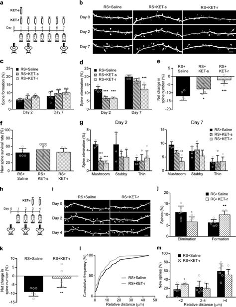 Ketamine And Selective Activation Of Parvalbumin Interneurons Inhibit