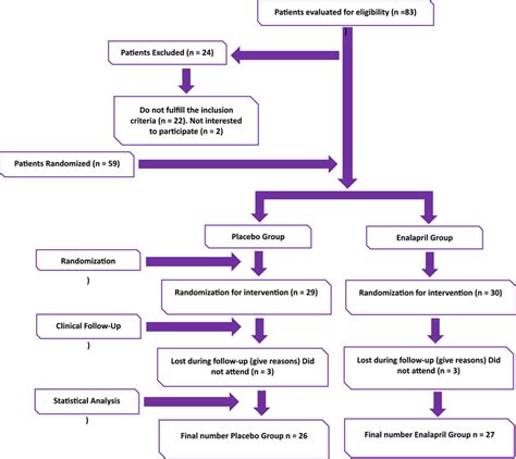 Clinical Trial Flow Chart Template