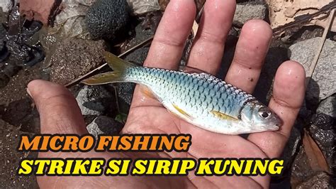 Micro Fishing Mancing Wader Kepek Di Bawah Jembatan Dengan Umpan