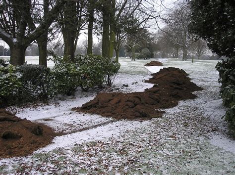 The History Of Selly Oak Park 2011 2020