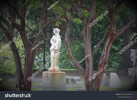 13 Elmwood Cemetery Images, Stock Photos & Vectors | Shutterstock