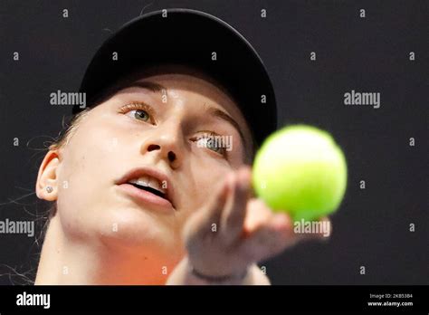 Daria gavrilova hi-res stock photography and images - Alamy