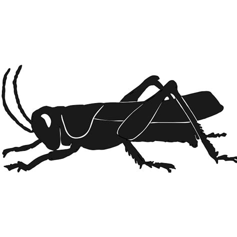 Grashopper Silhouette Free Svg