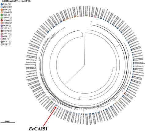 Frontiers Complete Genome Sequences Of Two Escherichia Coli Clinical