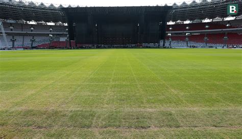 Foto Menengok Kondisi Menyedihkan Rumput SUGBK Yang Jadi Venue Piala